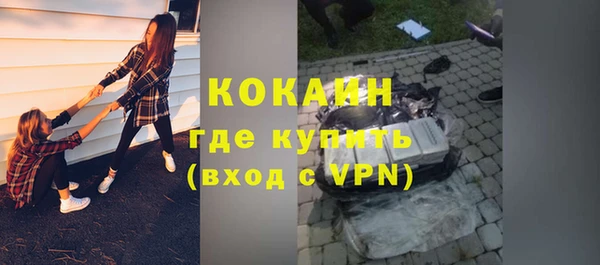 шишки Аркадак