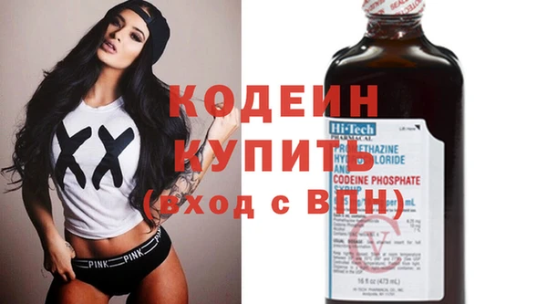 шишки Аркадак