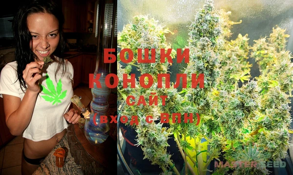 шишки Аркадак
