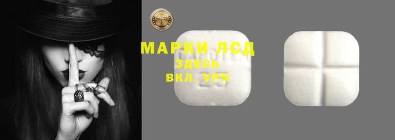 мяу мяу мука Армянск