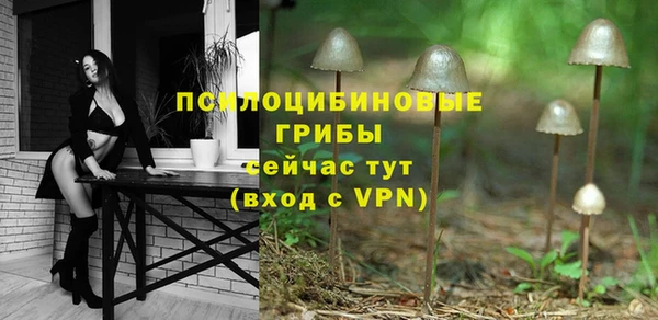 мяу мяу мука Армянск